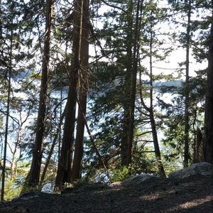 Meet your Posher, Kym